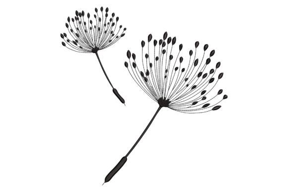 Dandelions: A Boutique Sweatshirt Embroidery Review