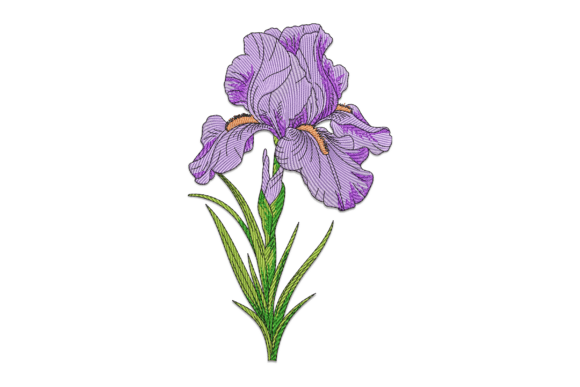 Purple Iris: A Thoughtful Embroidery Choice for Meaningful Gifts
