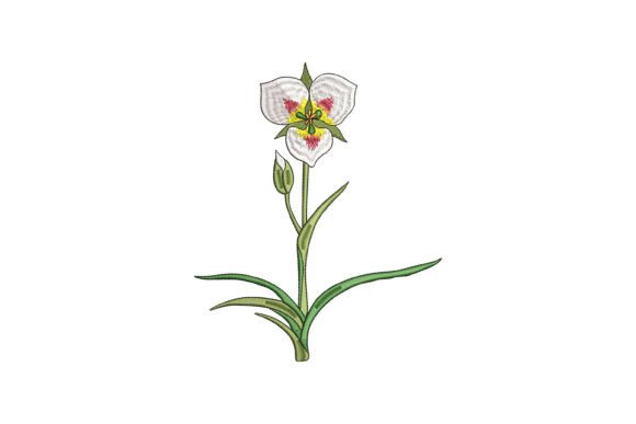 Sego Lily Bloom Embroidery